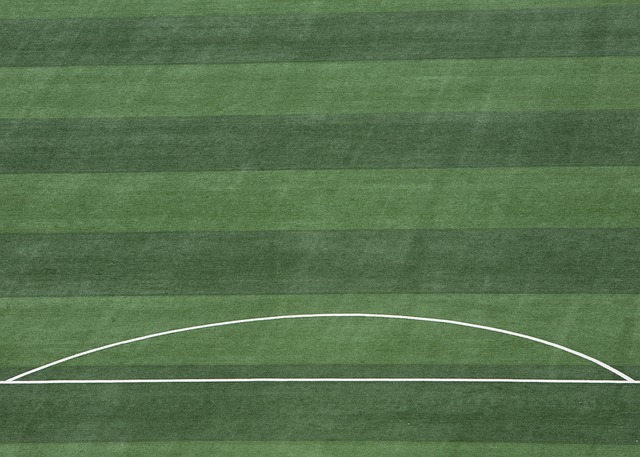 卓越的中场 卓越的中场