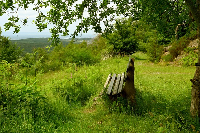 了广泛讨论 了广泛讨论