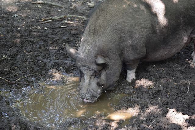 数字的叠加 数字的叠加