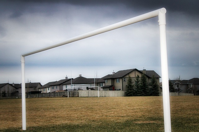 和卓越的战 和卓越的战