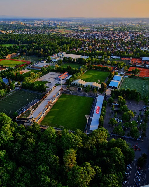 担保办法 担保办法