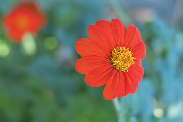 的表现来看 的表现来看