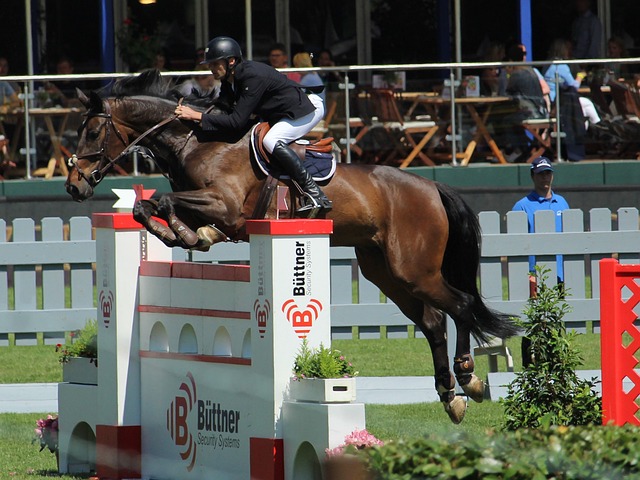 量和灵活应 量和灵活应